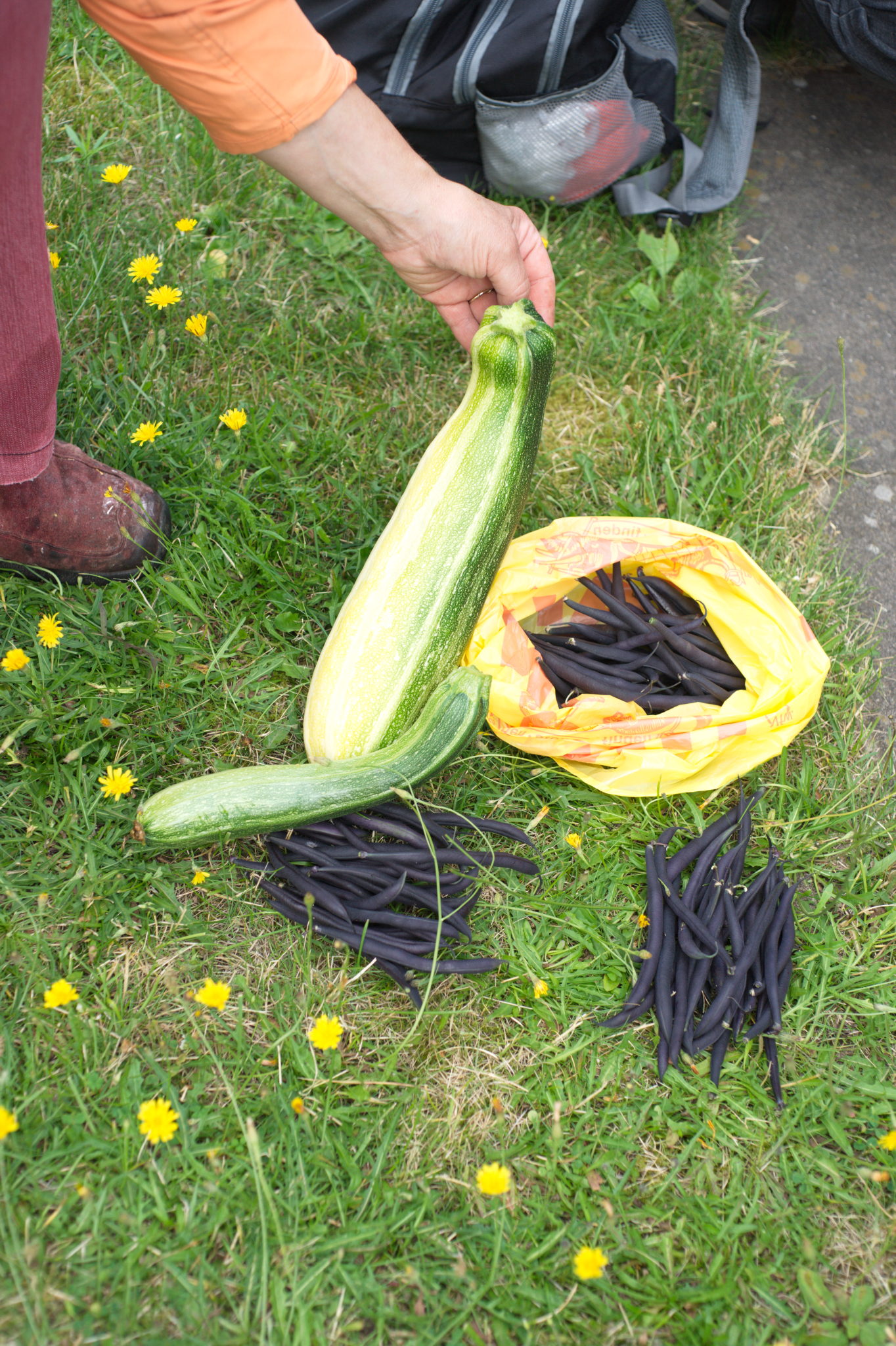 20210721  Gruen(t)raumHeimfeld 001